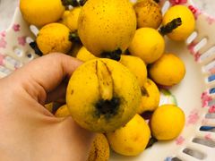 -塘栖枇杷特色园区