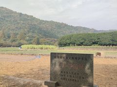 -八卦田遗址公园
