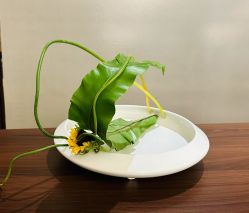 -今日陶艺(富力广场店)