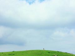 -大姆山草场