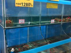 水产区-三辣馆