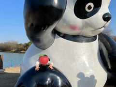 -苏州太湖国家湿地公园