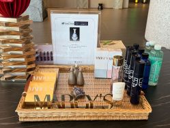 -VELEE·SPA高定疗愈会所