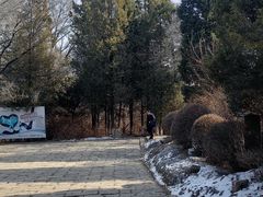 -高尔山公园
