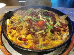 -老板恋上鱼(恒隆广场店)