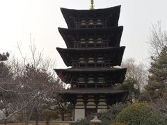 -北京世界公园