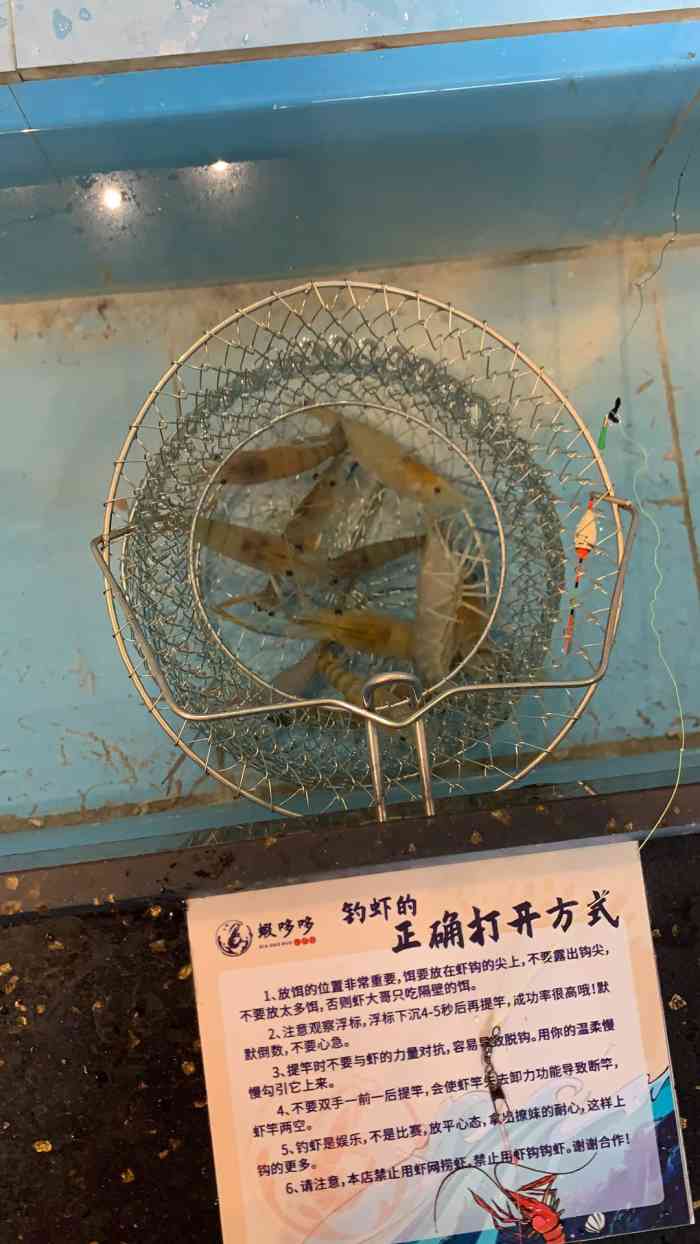 虾哆哆钓虾工厂-"疫情的影响,今年没有出国旅游的机会了,早.