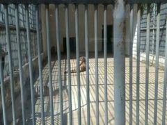 -祥源·阜阳生态乐园