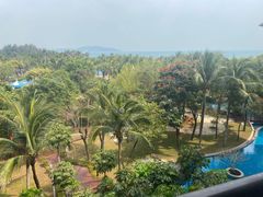 -三亚海棠湾万丽度假酒店