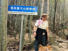 -莫干山风景区