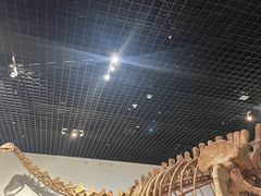 -衢州市博物馆