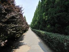 -秦始皇帝陵博物院-丽山园