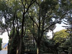 -上海市龙华烈士陵园