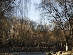 -丰台科技园生态主题公园