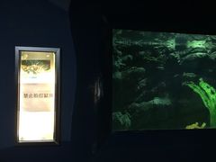 -苏州海洋馆