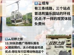 -广州长隆野生动物世界