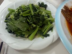 -煲来饱去冷水鱼