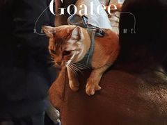 -Goatee