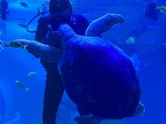 -左海海底世界