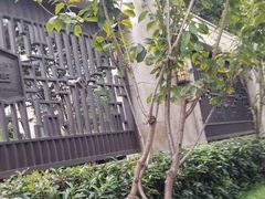 -保利·西岸
