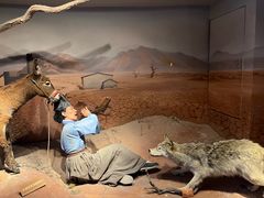 -陕西自然博物馆