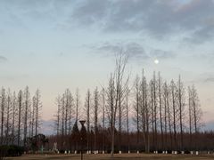 -黄海国家森林公园