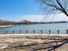 -野鸭湖国家湿地公园