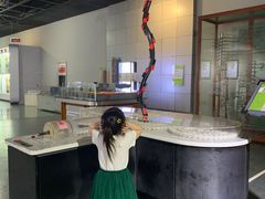 -陕西自然博物馆