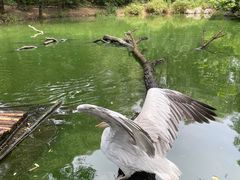 -济南野生动物世界