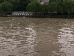 -运河游船(武林门码头)