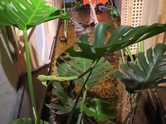 -邈墨茶馆(凤起路店)