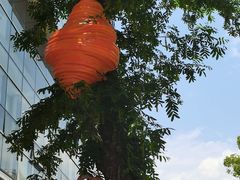 -杭州西湖银泰百货
