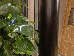 -二分八云雁阁•新晋菜大同味(长治路店)