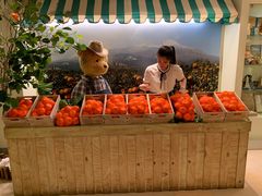 -济州岛泰迪熊博物馆