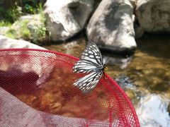 -碓臼峪自然风景区