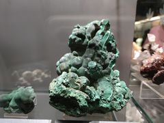 -中国地质博物馆