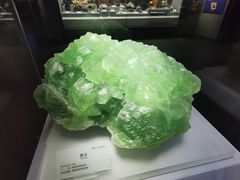 -湖南省地质博物馆