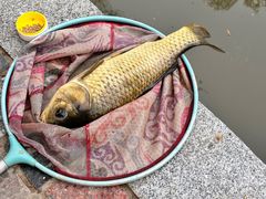 -酷鱼垂钓CLUB(朝阳区博大路店 )