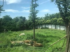 -西安秦岭野生动物园