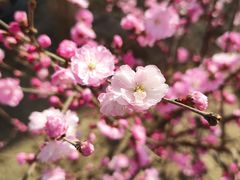 -库木塔格沙漠