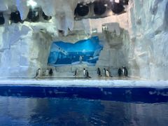 -华夏文旅海洋公园