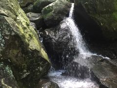 -藏龙百瀑风景区