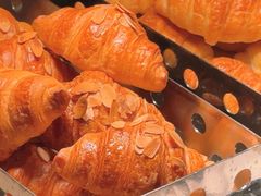 -北京首都机场希尔顿酒店