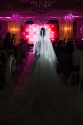 -M'S BANQUET AND SPACE ART