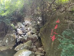 -海南霸王岭国家森林公园