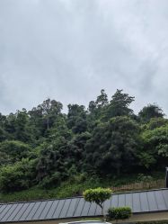 -爱帝宫月子中心(罗湖别墅院)