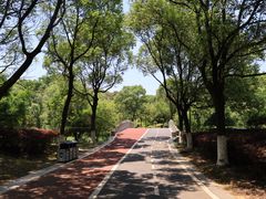-八大山人梅湖景区