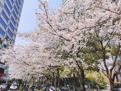 -玛格萝妮比萨屋(四平店)