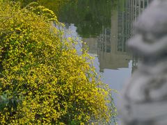 -成都南湖公园