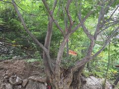 -孤山寨风景区